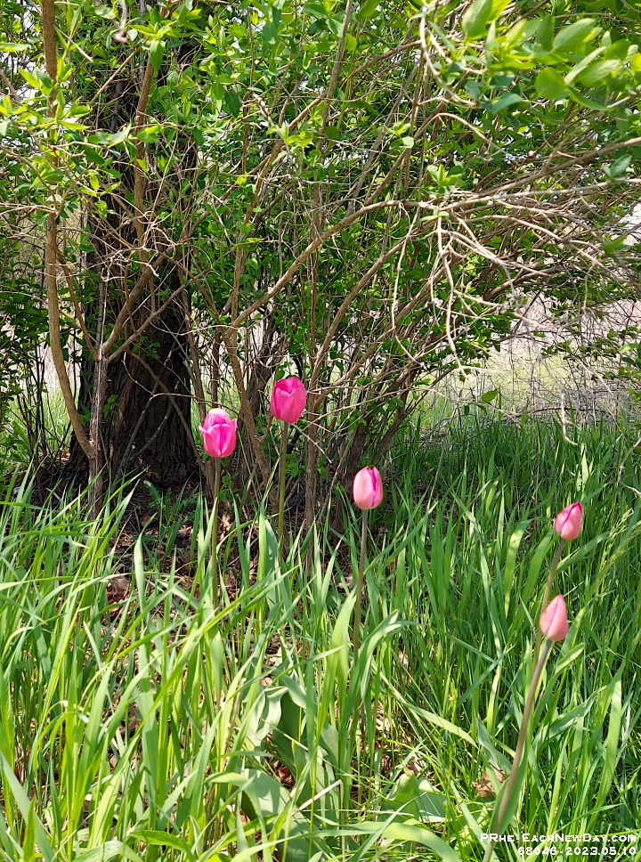 68046CrLe - A lovely lunchtime walk